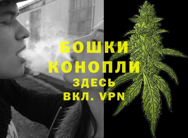 соль ск Арсеньев