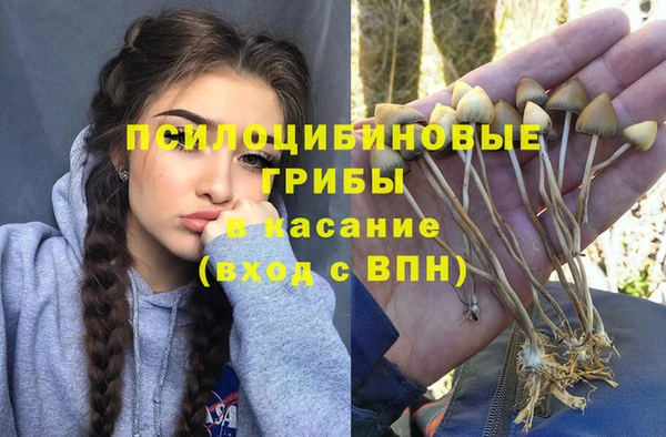 соль ск Арсеньев